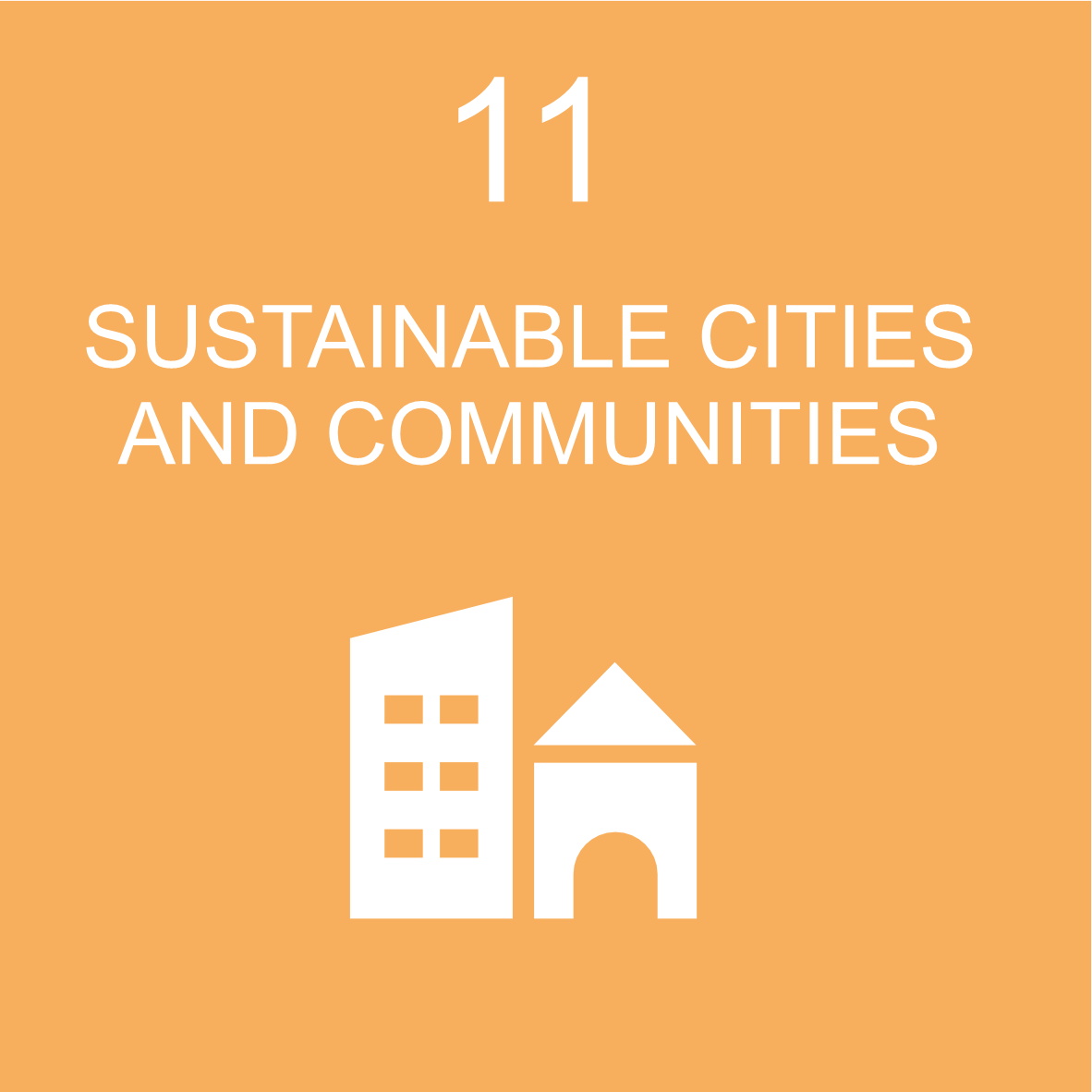SDG 11