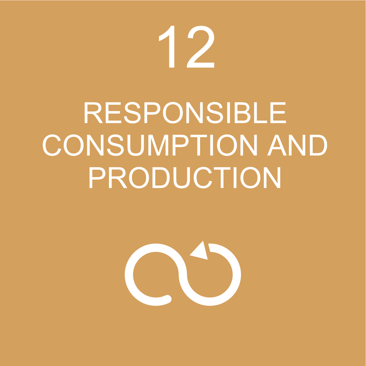 SDG 12