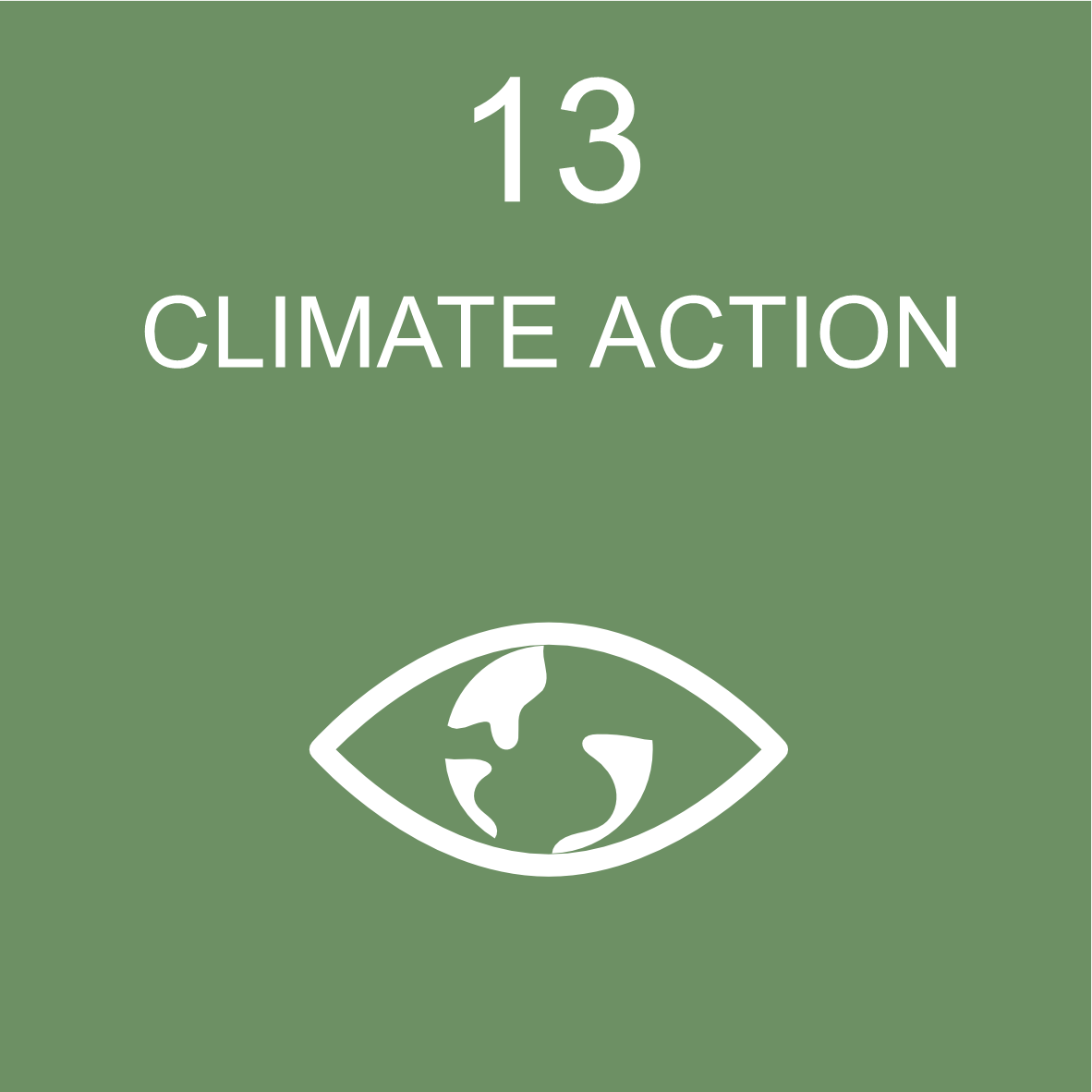 SDG 13