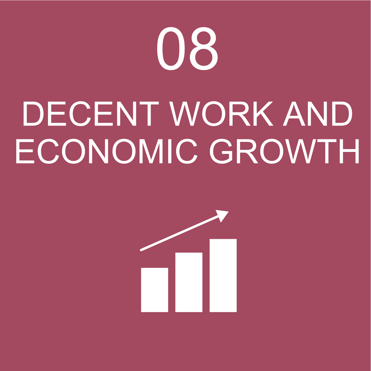 SDG 8